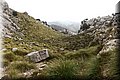 P2040118.JPG