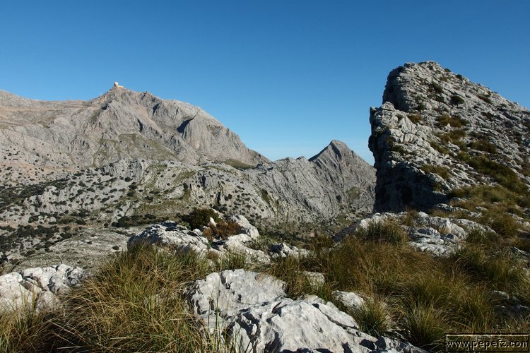 P2080149.JPG