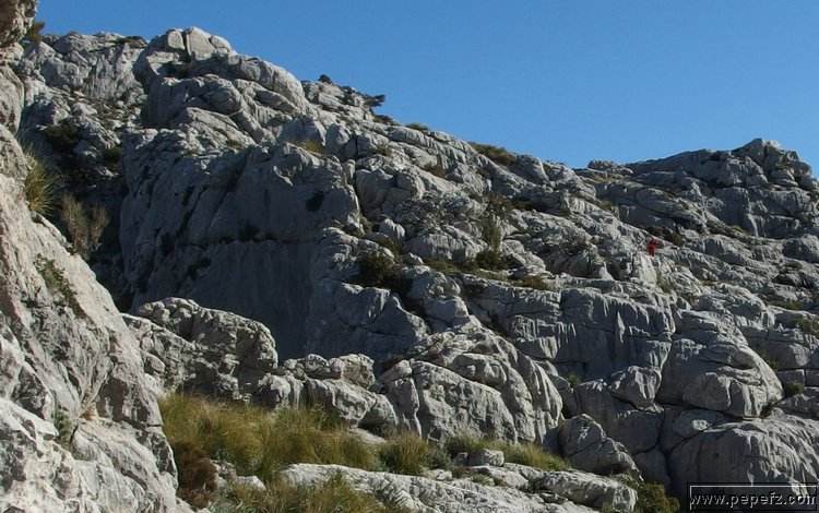 P2080154.JPG