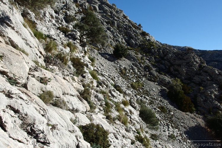 P2080157.JPG