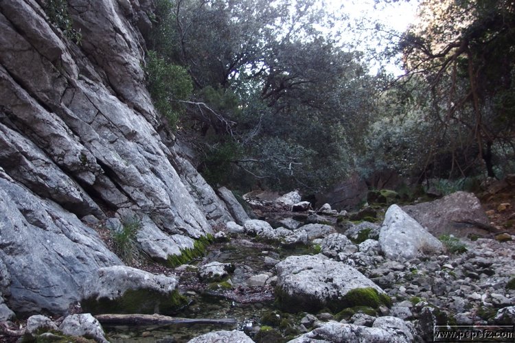 P2080161.JPG