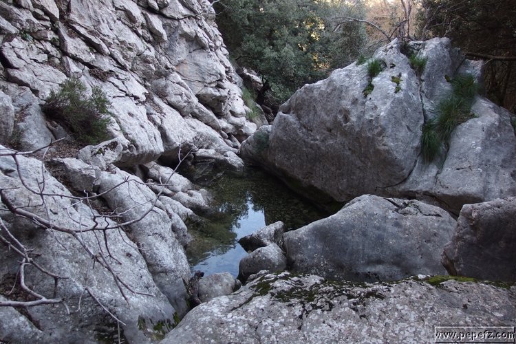 P2080164.JPG