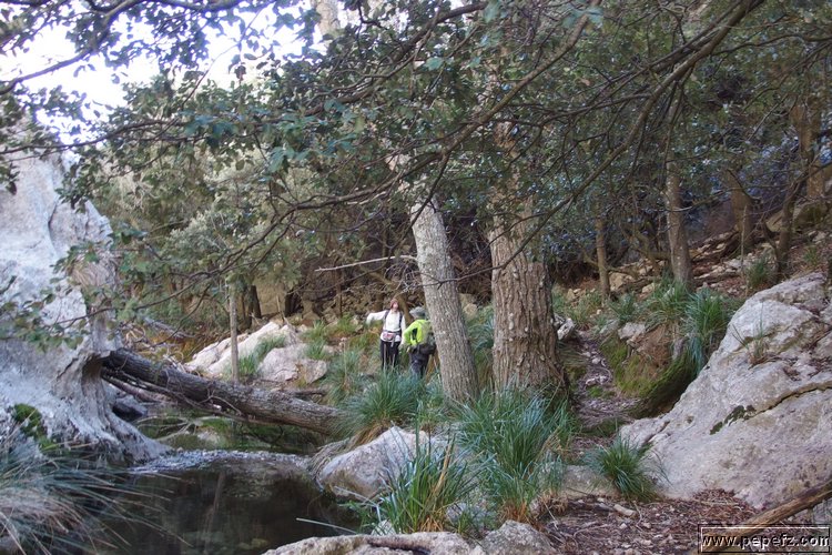 P2080171.JPG