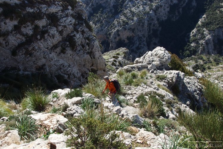 P2080204.JPG