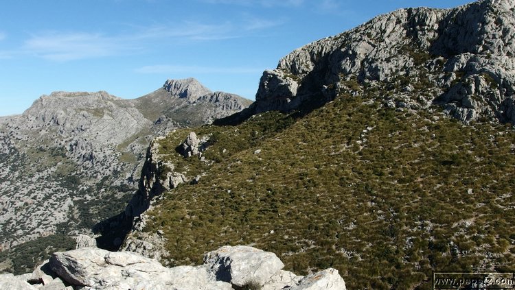 P2080220.JPG