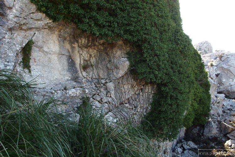 P2080224.JPG