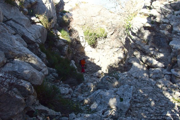 P2080230.JPG