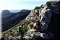 P2080141.JPG