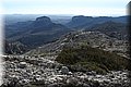 P2080208.JPG