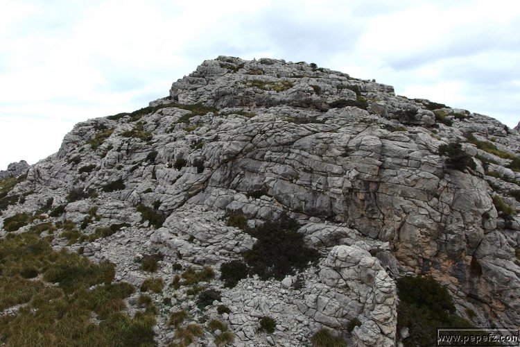 P2110237.JPG