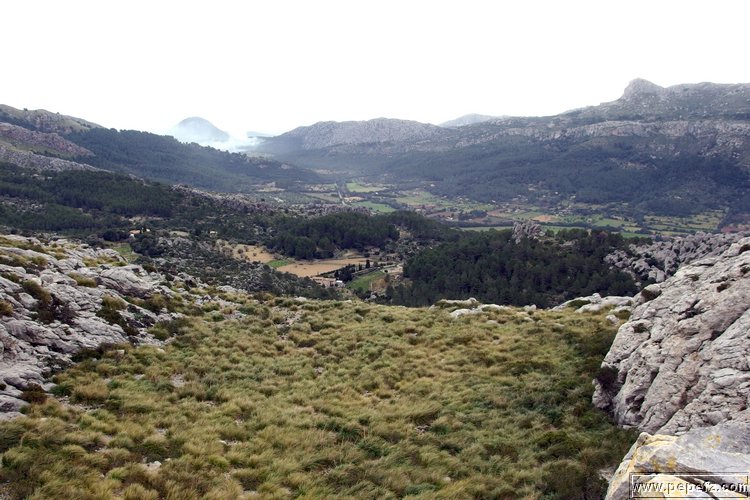 P2110238.JPG