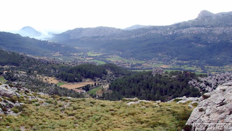 P2110239.JPG