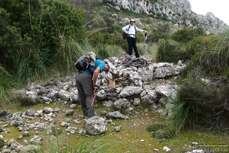 P2110270.JPG