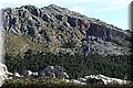 P2110246.JPG