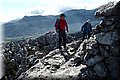 P2110250.JPG
