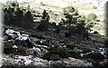 P2180327.JPG