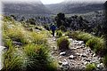 P2220356.JPG