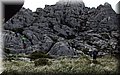 P2220369.JPG