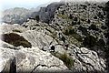 P2220393.JPG