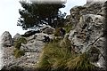 P2220399.JPG