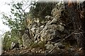 P2220400.JPG