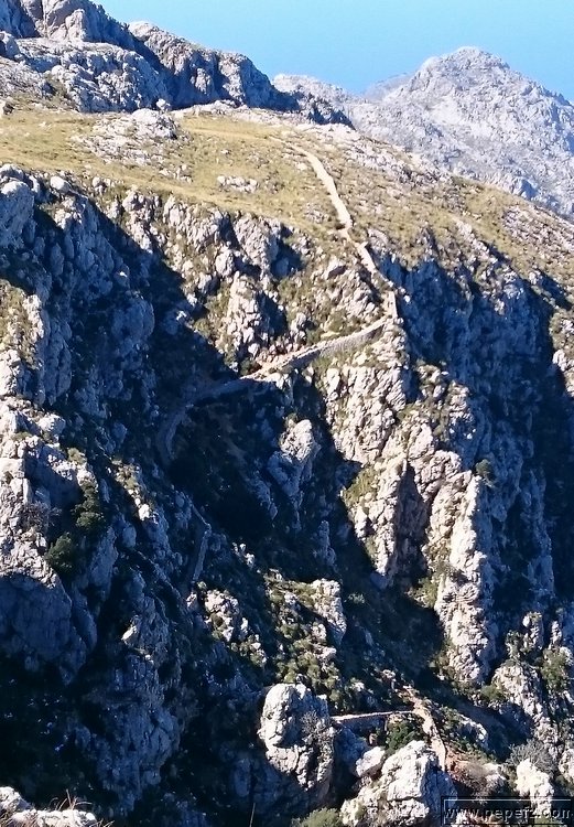 DSC_0162.JPG