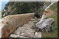 P3070538.JPG
