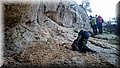 DSC_0207.JPG