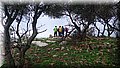 DSC_0226.JPG