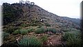 DSC_0243.JPG