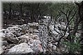P3140604.JPG