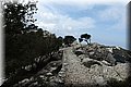 P3140630.JPG