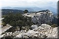 P3140645.JPG