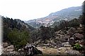 P3140669.JPG