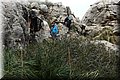 P3170717.JPG