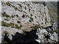 2016_03190125.JPG