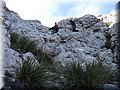 2016_03190131.JPG