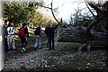 P3190002.JPG