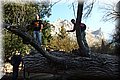 P3190005.JPG