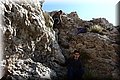 P3190065.JPG