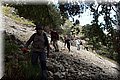 P3190113.JPG