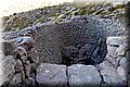 P3250207.JPG