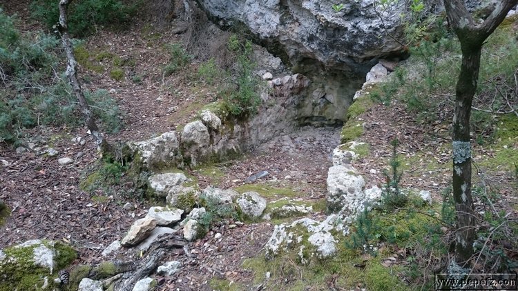 DSC_0184.JPG