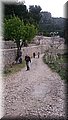 DSC_0166.JPG