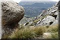 P3310281.JPG