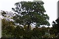 P4040333.JPG