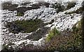 P4070465.JPG