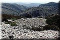 P4070473.JPG