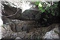 P4070475.JPG