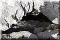 P4070478.JPG